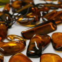 Amber: A favourite gem throughout history